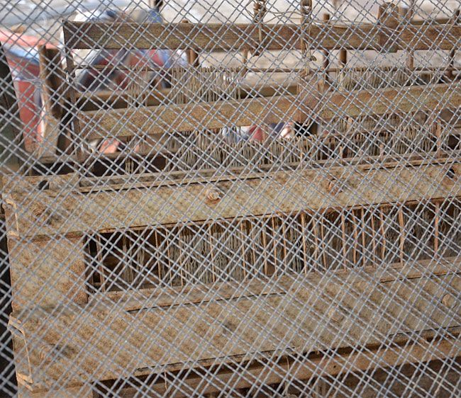 Decorative Woven Wire Mesh