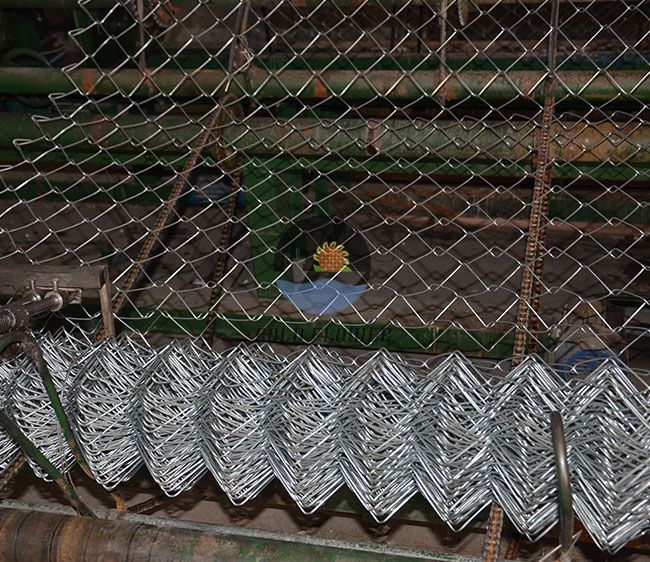 Galvanized Chain Link Fence	