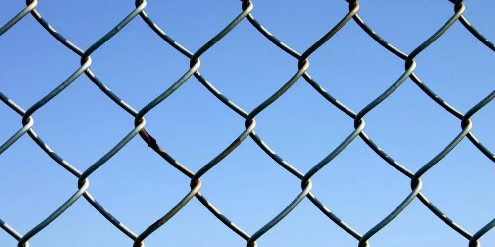 ce certification quality wire mesh