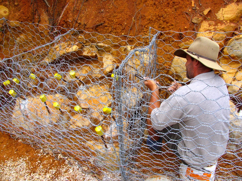 odm mesh wire horse fence