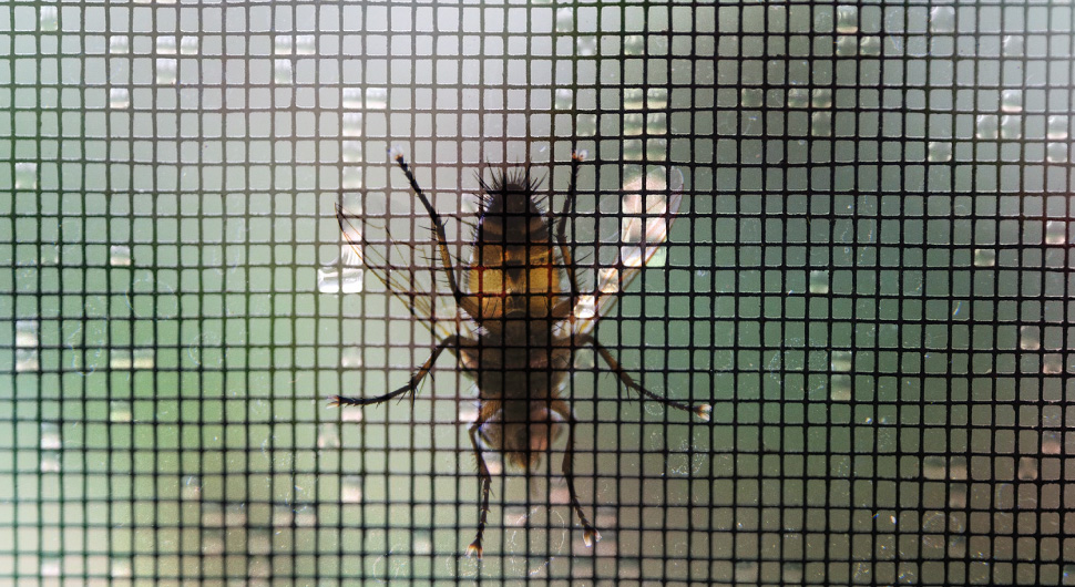 famous deer wire netting