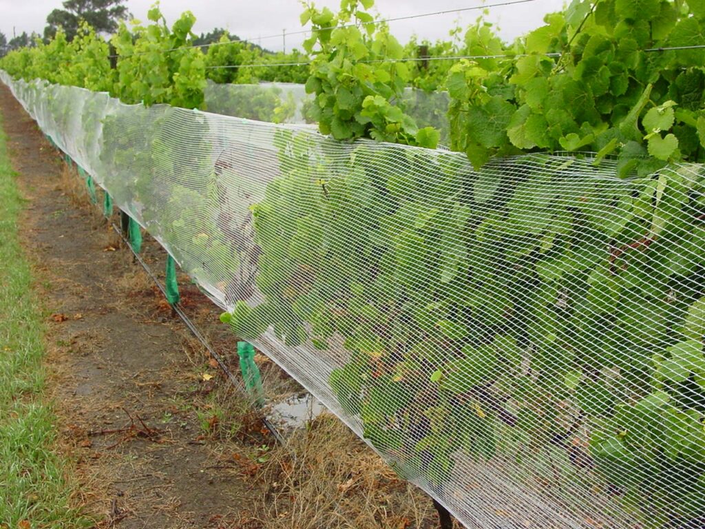 buy heavy duty wire netting