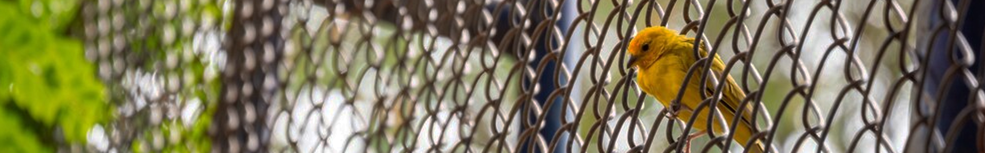 odm woven mesh steel